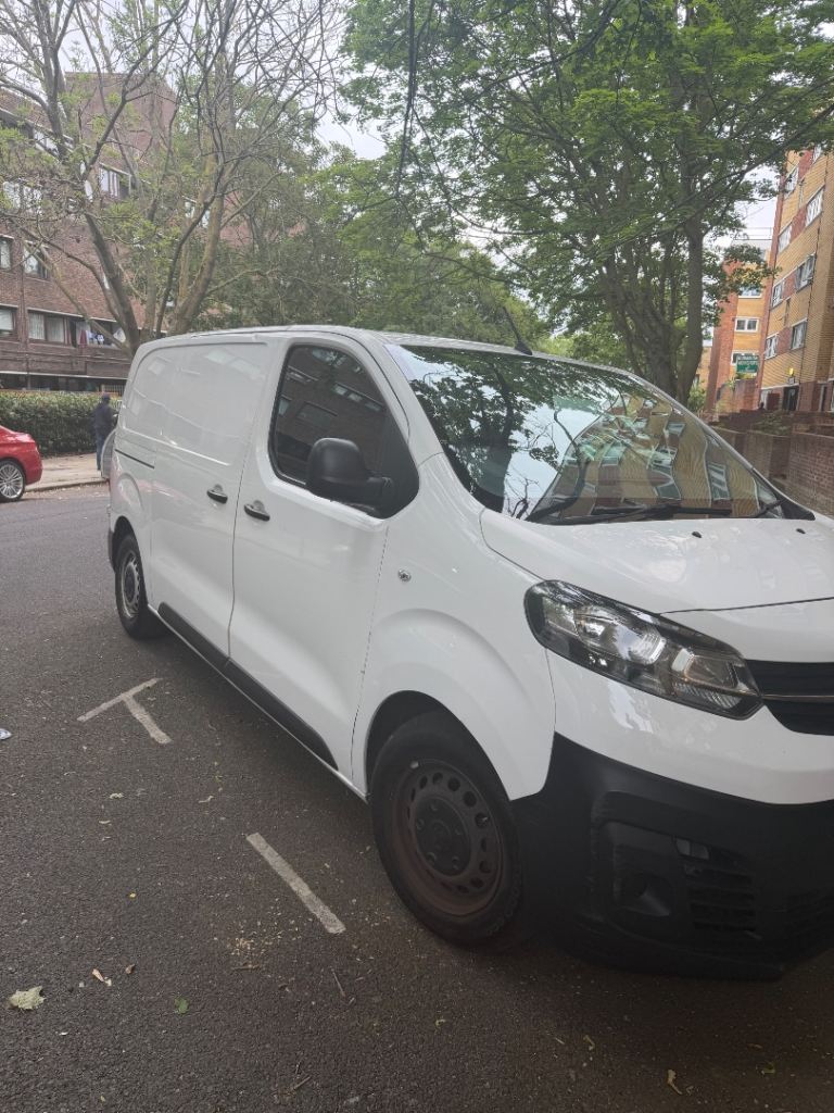 Vauxhall, VIVARO, Panel Van, 2020, Manual, 1499 (cc)