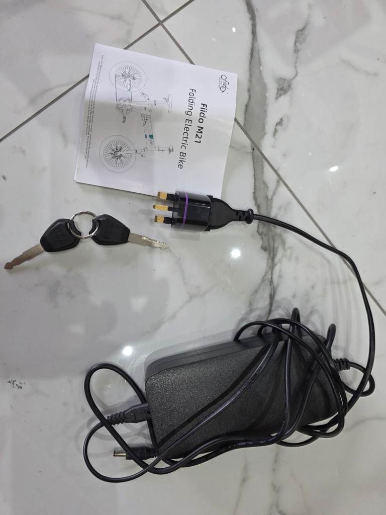 FIIDO M21 ELECTRIC FOLDING BIKE  WITH TORQUE SENSOR