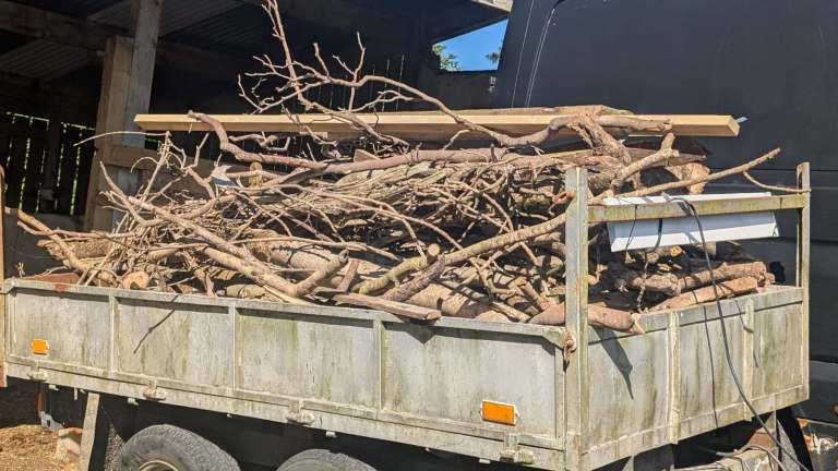 Sticks for fire wood 