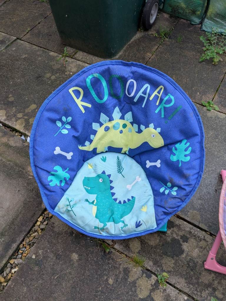Dinasour kids chair