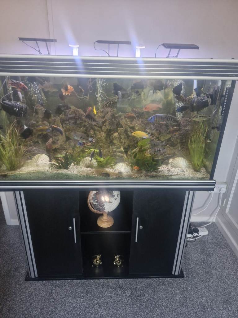 Fish tank