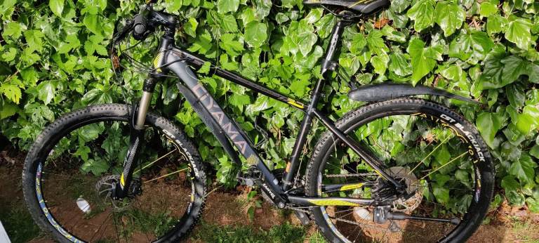 Mountain bike adjustable front suspension 