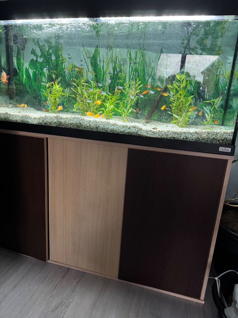 Fluval Tropical Aquarium Complete Setup – External Filter – Fish Included