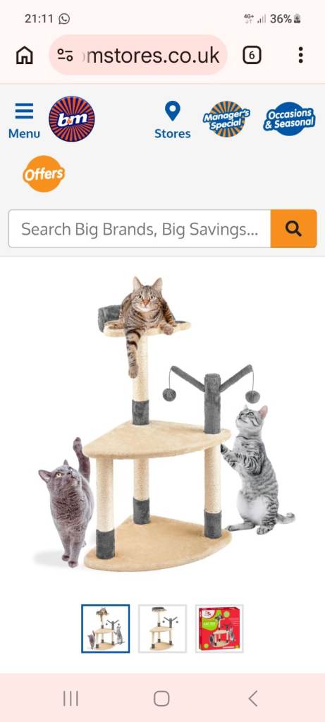 Cat activity tower