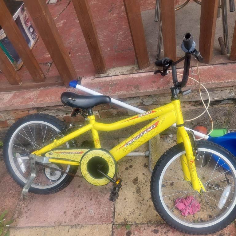 Professional Spider Kids bike.