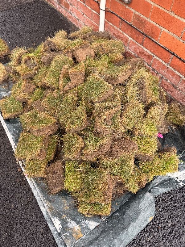 Used Turf/Grass for Garden Projects – Good Condition