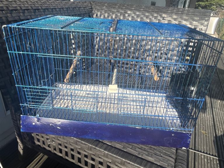 Bird carrier, travel cage