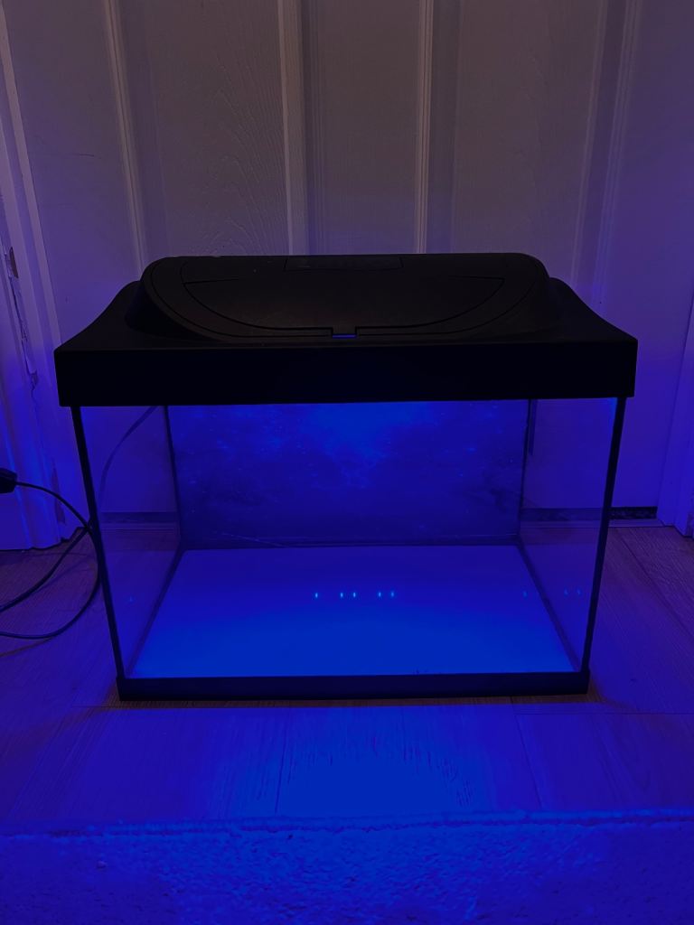 Small aquarium fish tank
