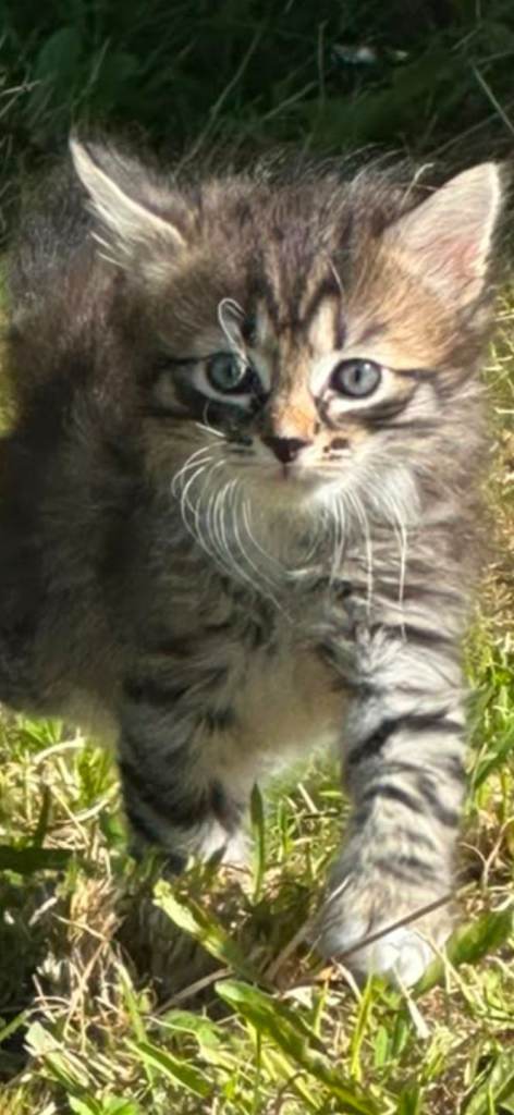 Handsome longhaired boy