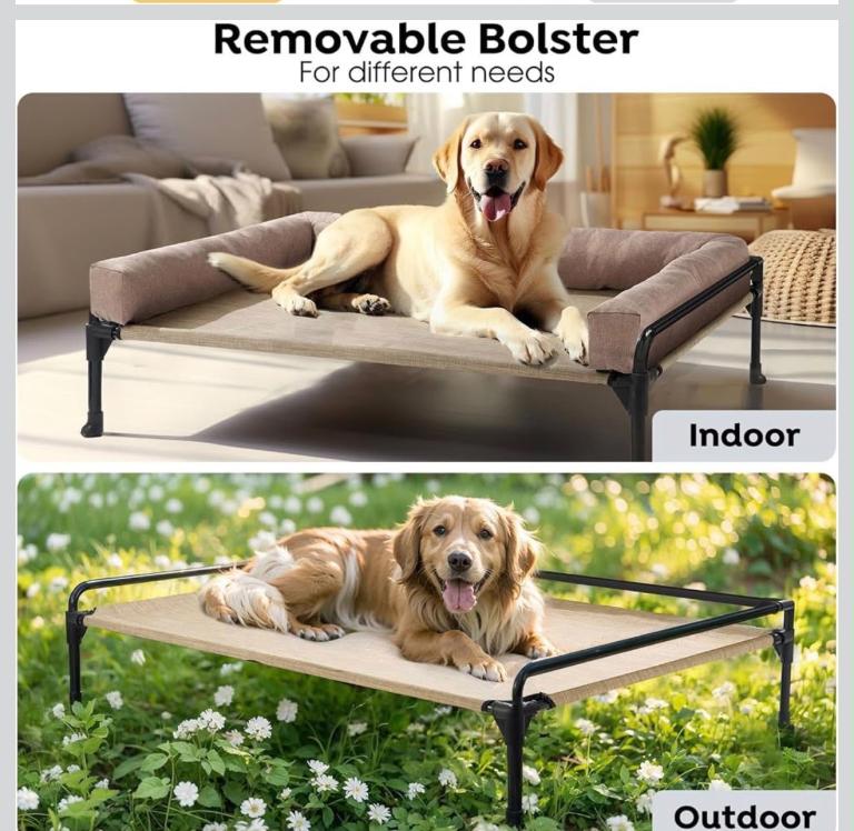 New Dog Bed 