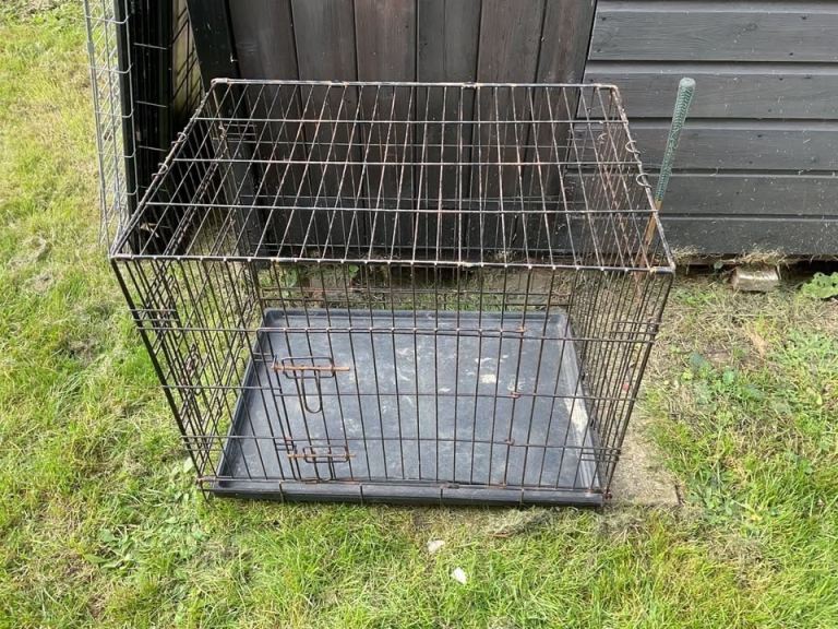 Dog Cage with Tray