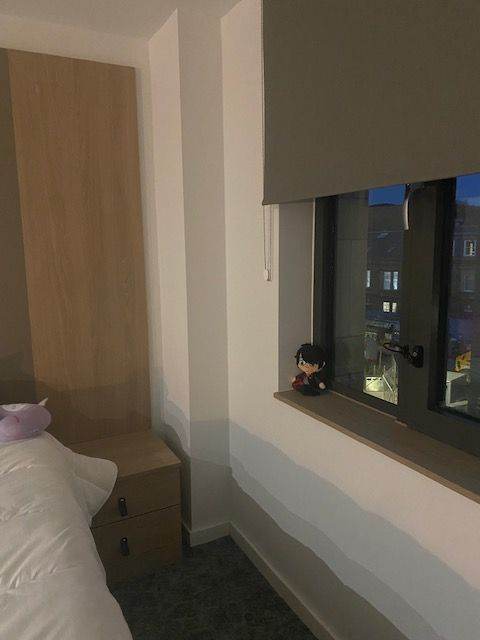 Room for Rent at the Mont (iQ student accommodation)