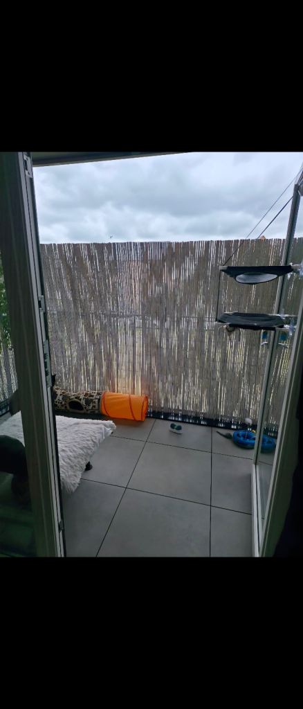 New build Cambridge home swap