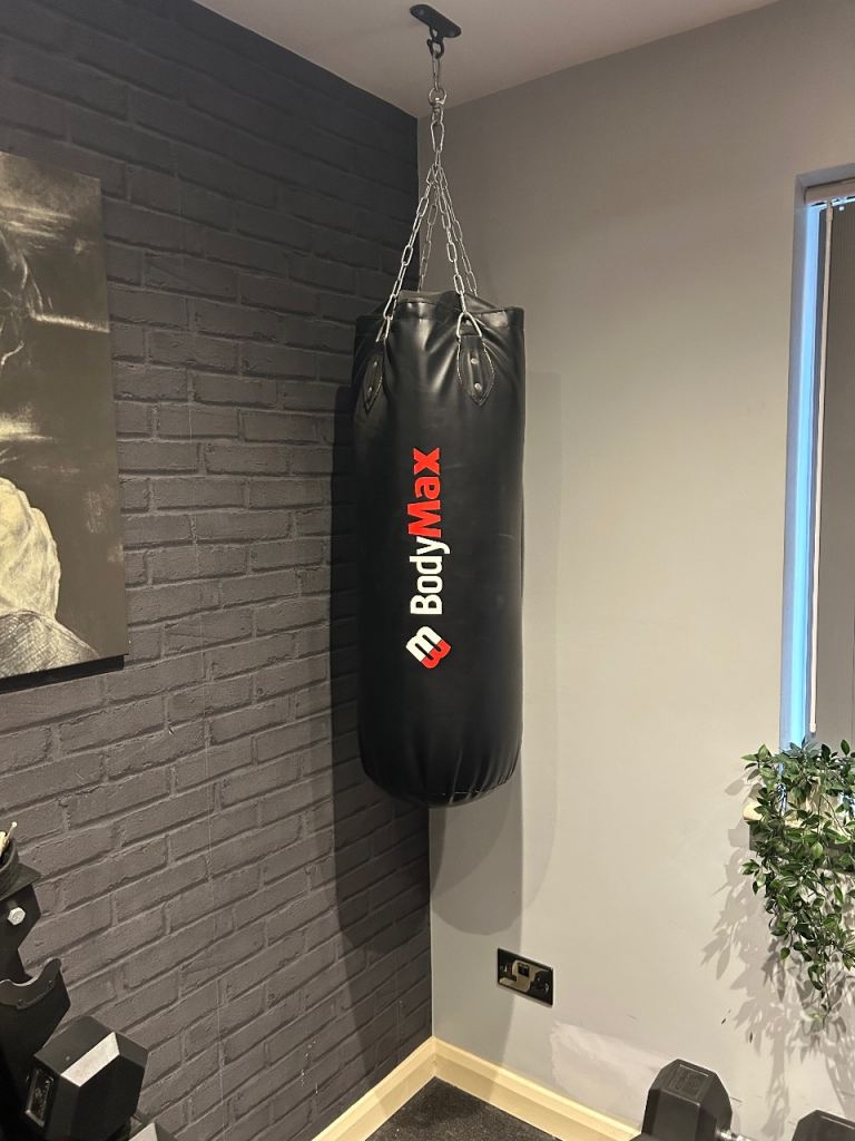 Bodymax punch pag