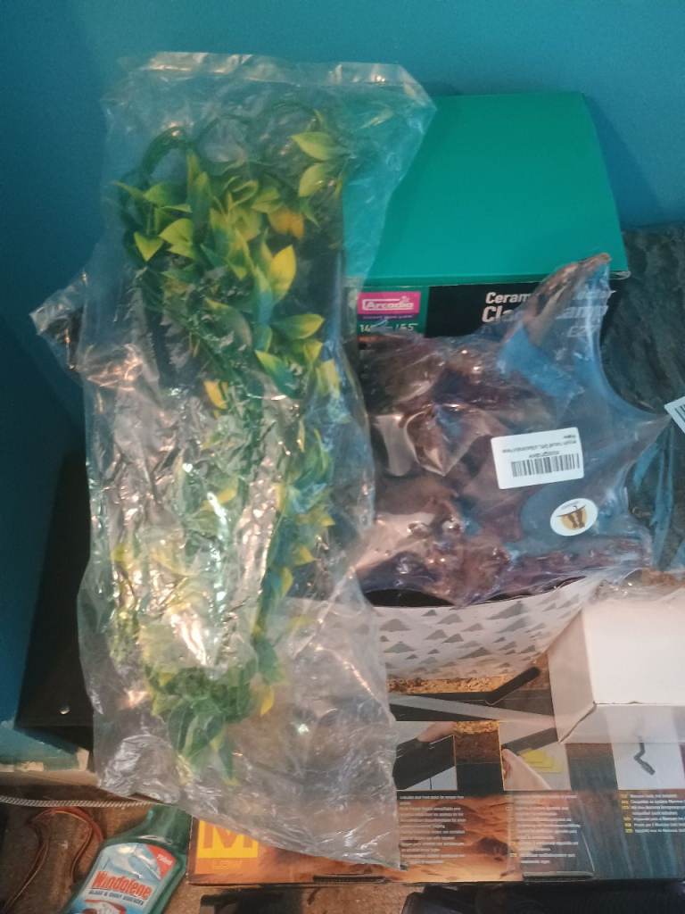 Brand New Vivarium Starter Kit For Sale 