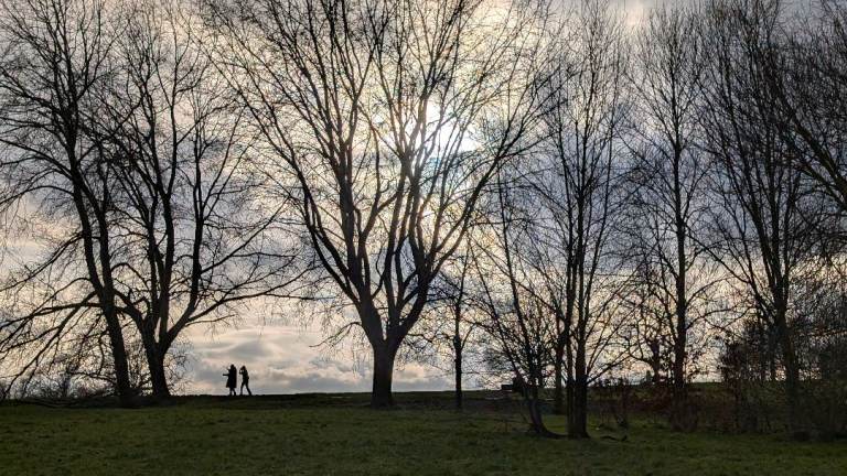 Psychotherapist - Individual & Couples Counselling - BPD, OCD, Depression...