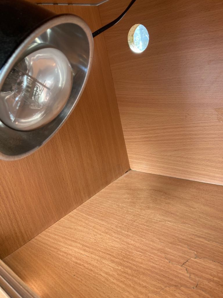 Vivarium bowls light holder and new heat bulb