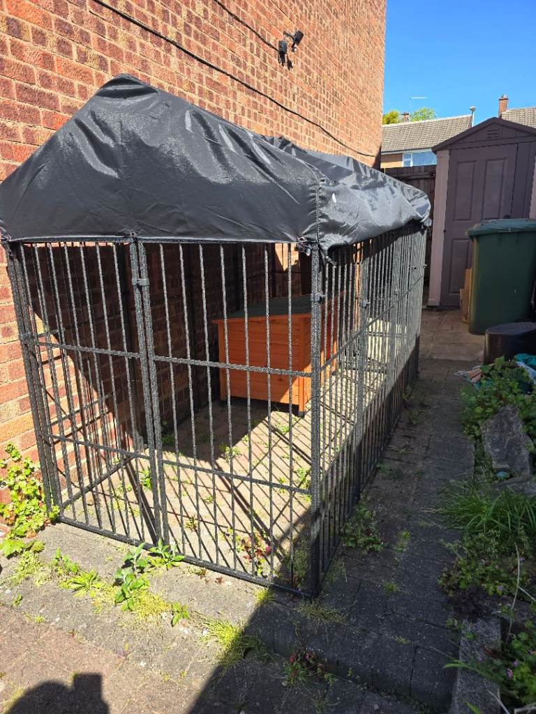 Dog, Puppy. Kennel, Crate, Cage Pen.