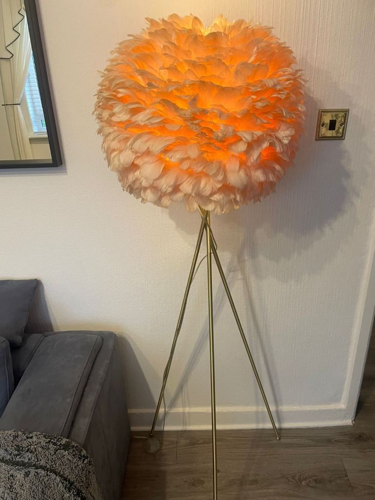 £50 Fluffy Brass Freestanding Lamp 