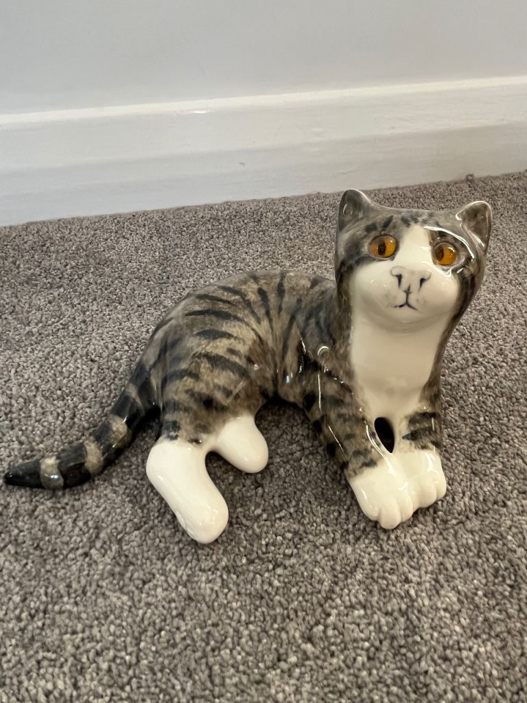 Mike Hinton Cat looking for a new home
