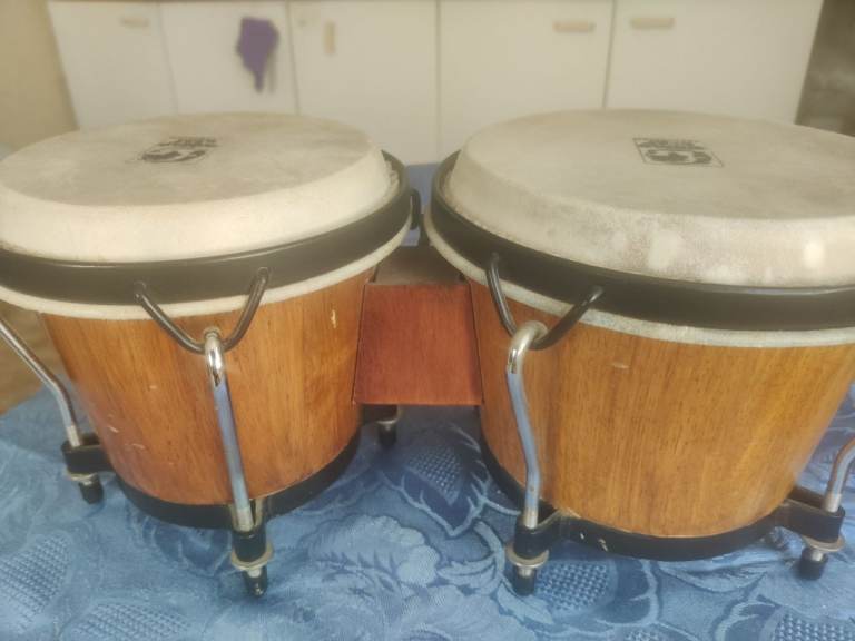 Pearl Bongo drums percussion 
