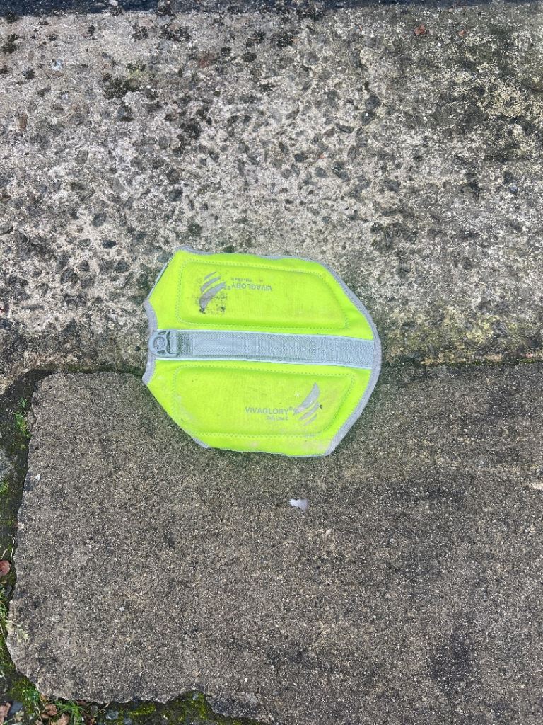 Hi-viz jacket for small dog