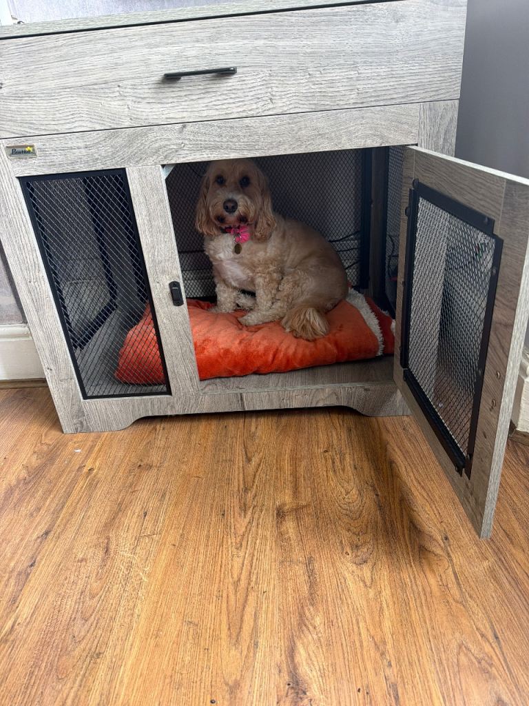 Dog bed/ Crate