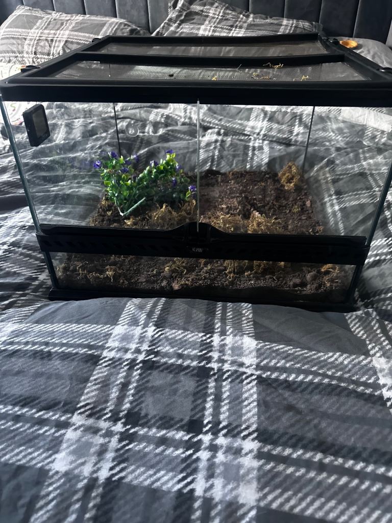 Vivarium 