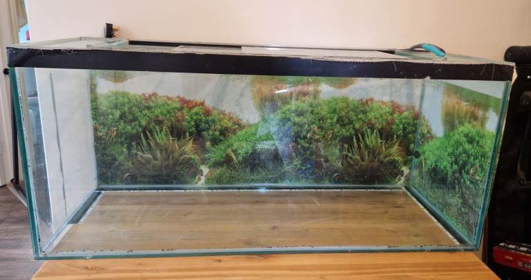 Fish Tank, Cabinet & Accessories