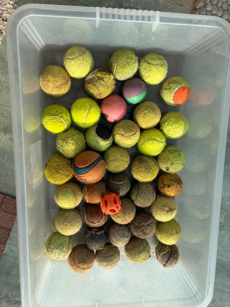     FREE.   Used  Dog  Balls