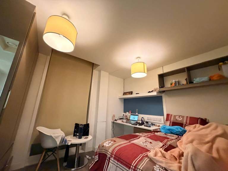 Gold Studio Specially for Students 