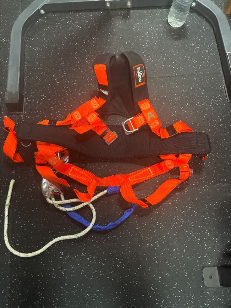 Pro Protecta safety harness