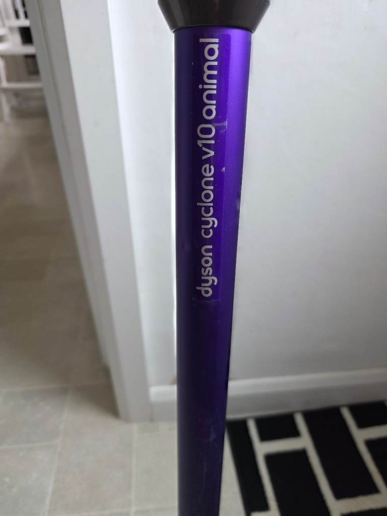 Dyson v10 animal