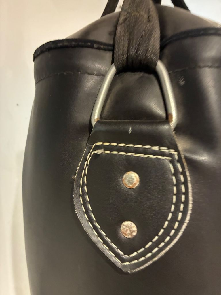 Everlast Punch Bag 
