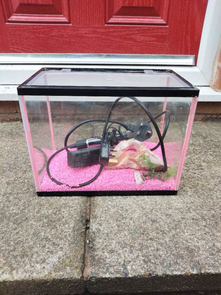 Fish Tank