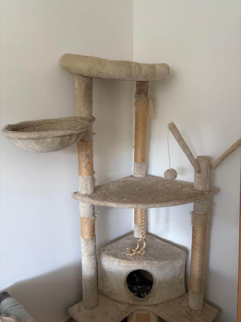 Free cat tower!