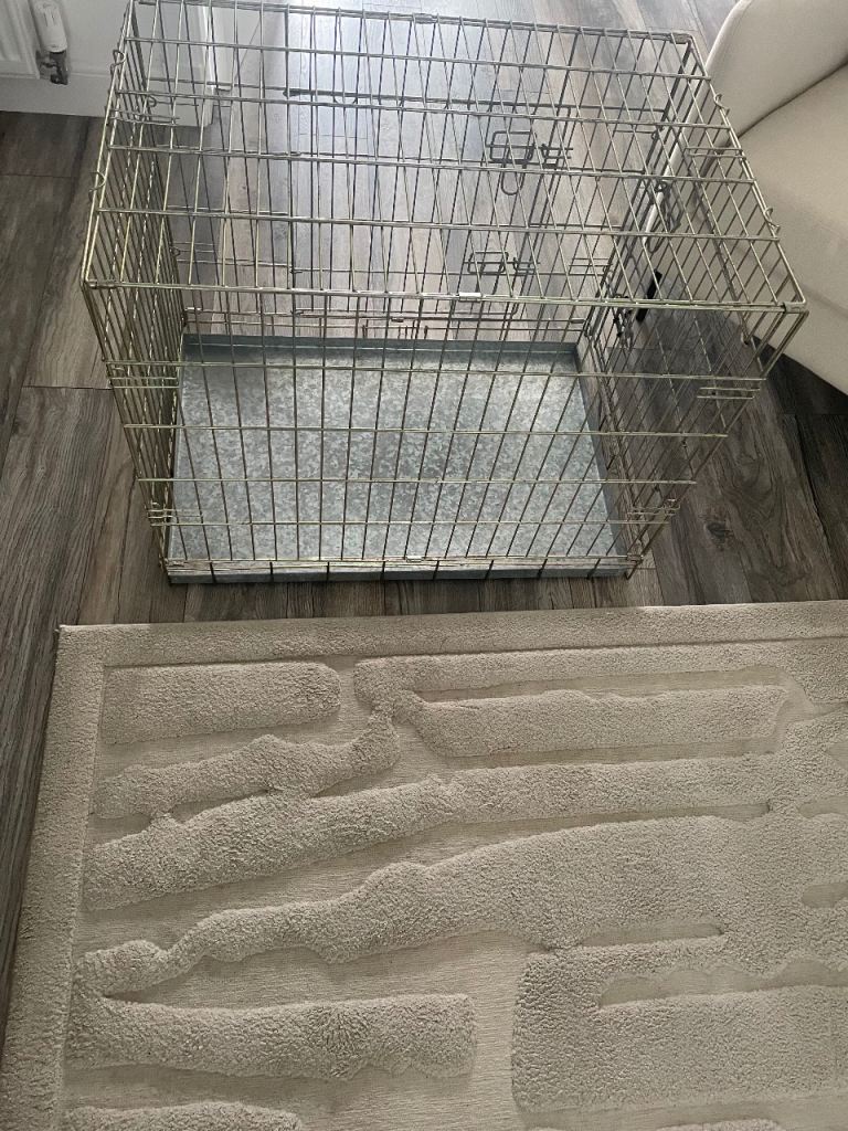 Dog crate 