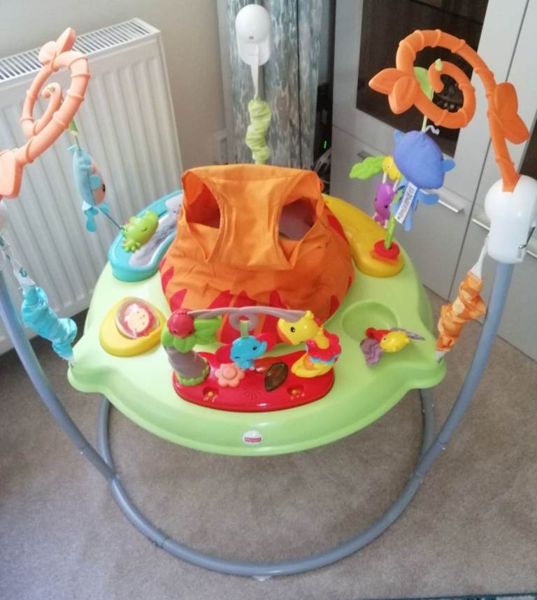 Fisher-Price Baby Activity Jumperoo – Good Condition