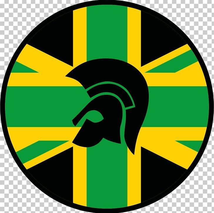 Ska - reggae guitarist