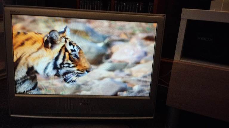 Sony Bravia 20 inch television 