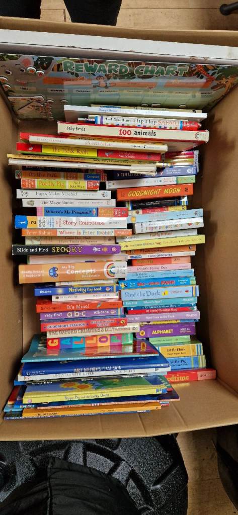 Kids books (80+ various books)