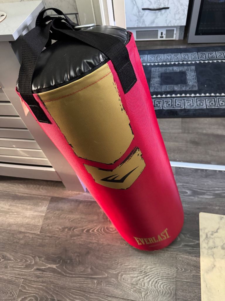 Everlast boxing bag