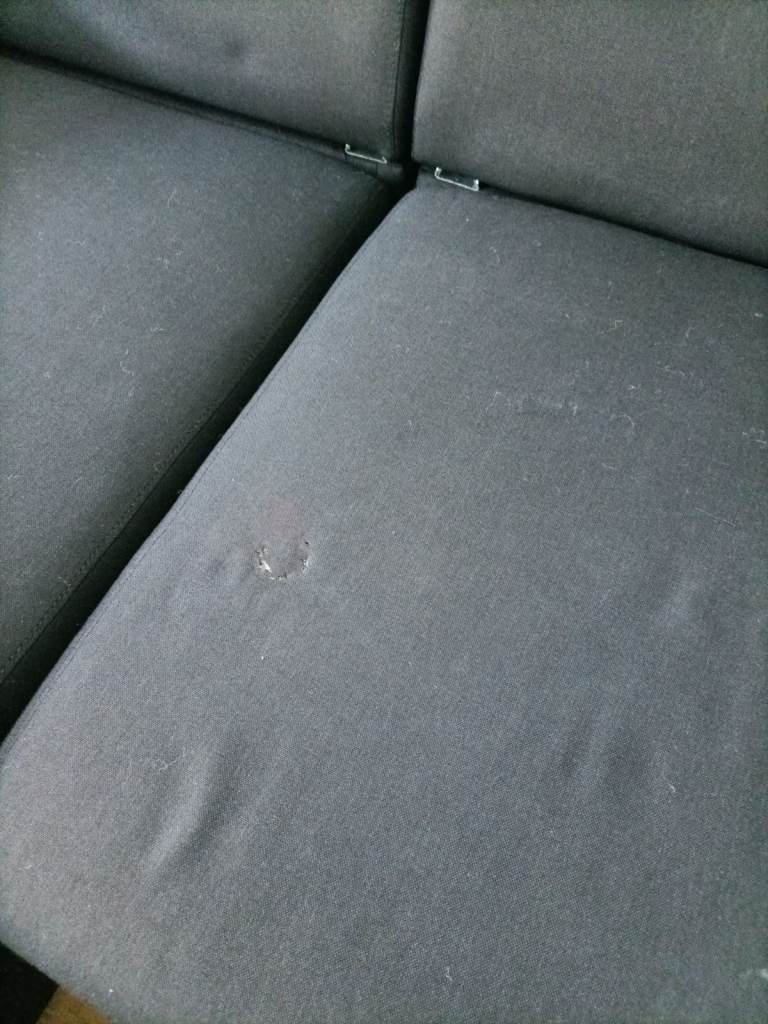 Free Sofa Bed