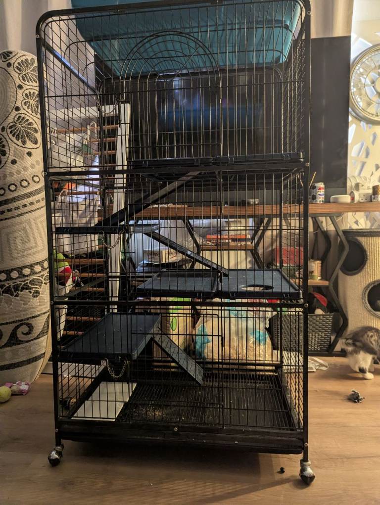Large cage for small animals