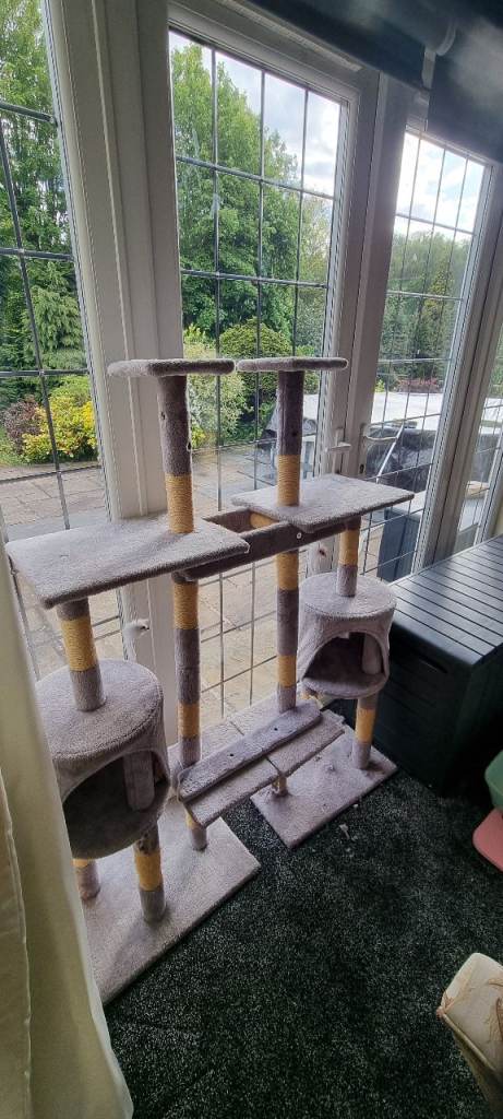 double cat tree