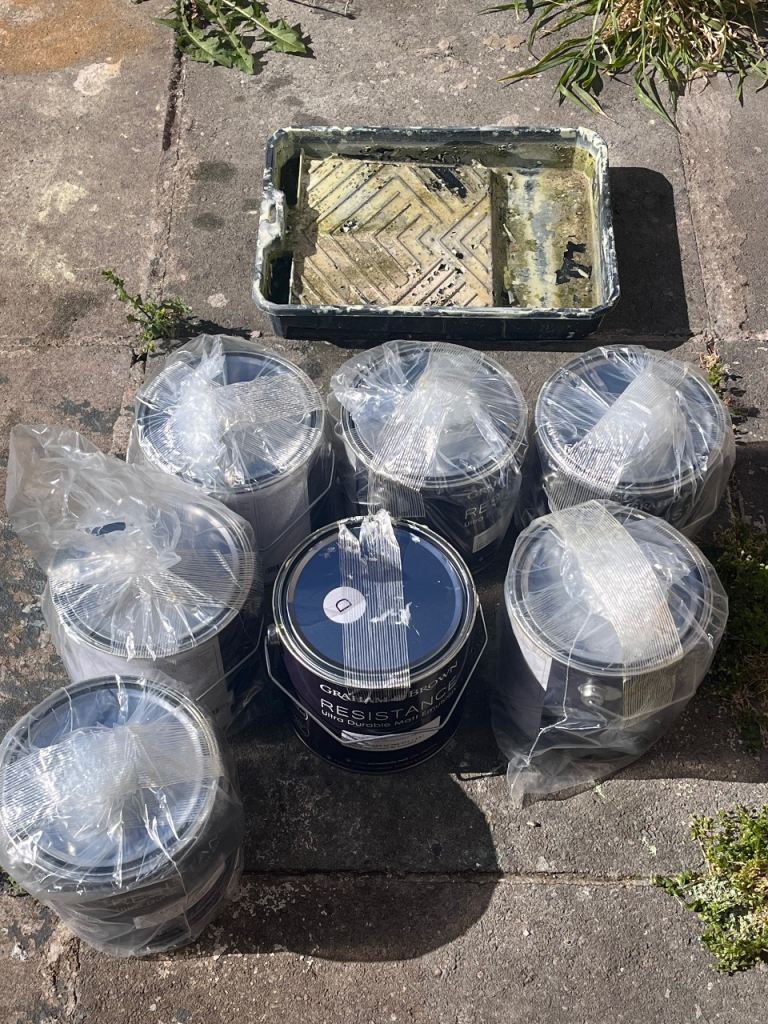  green paint - graham and brown - job lot 