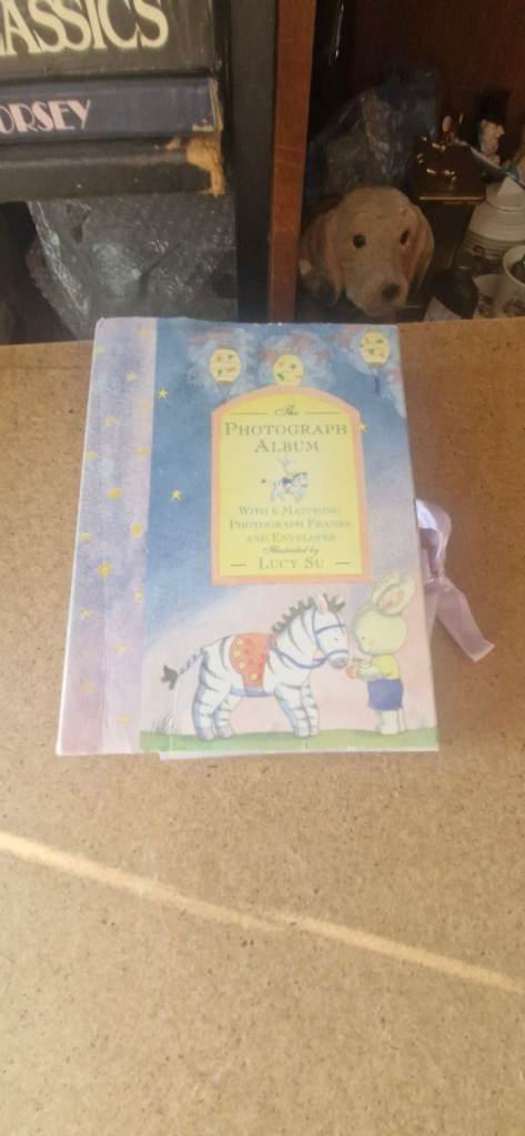 Photograph album by Lucy Su