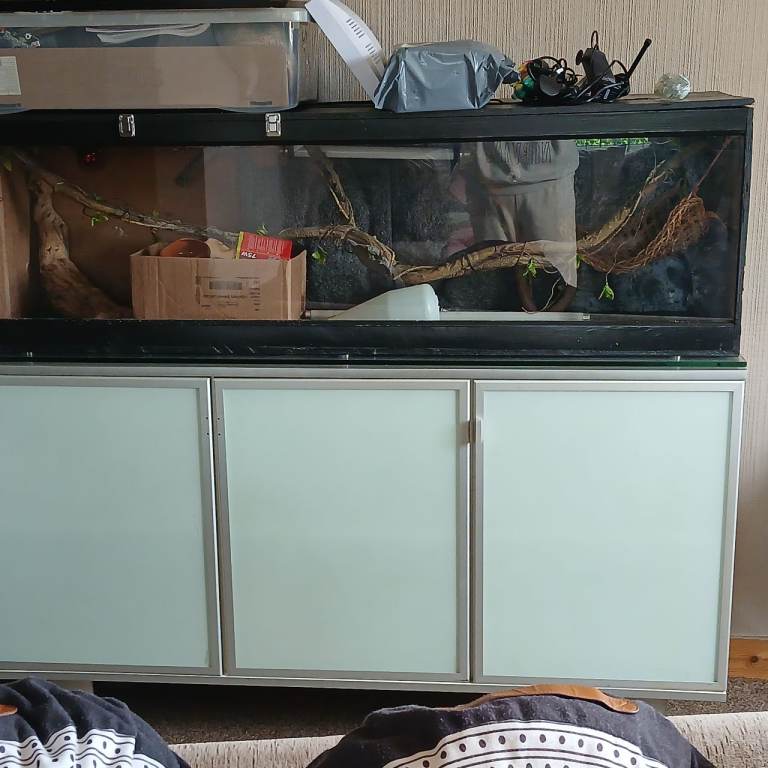 Vivarium tanks set up