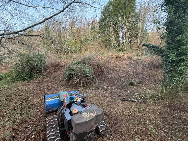 Flail mowing land management vegetation clearance 