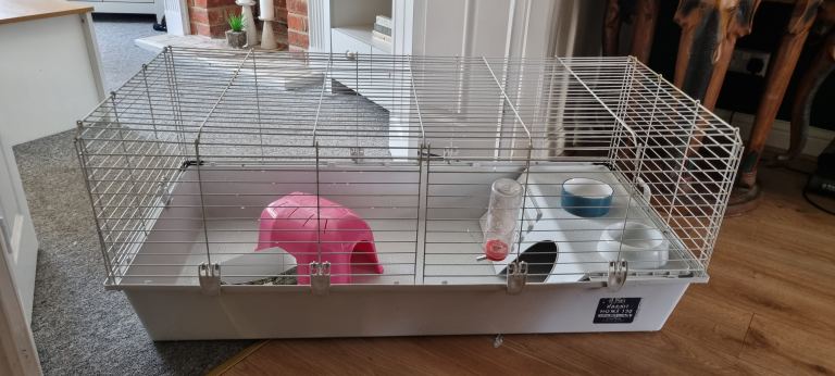 Guinea pig cage